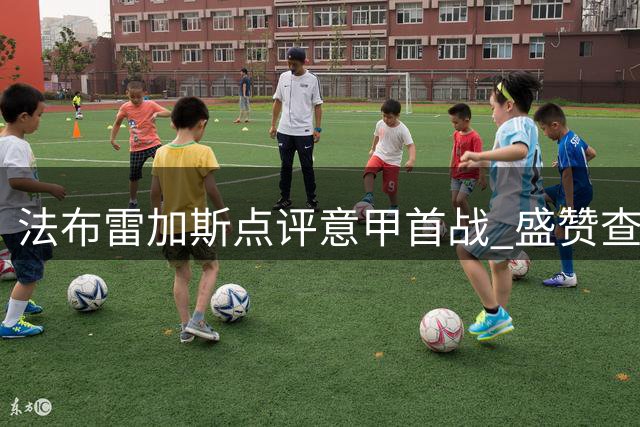 法布雷加斯点评意甲首战 盛赞查洛巴与利贝拉利表现
